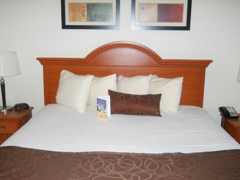 Best Western Windsor Inn&Suites Danville Exterior foto